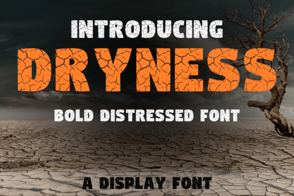 Dryness Display Font: Elevate Your Digital Brand Identity