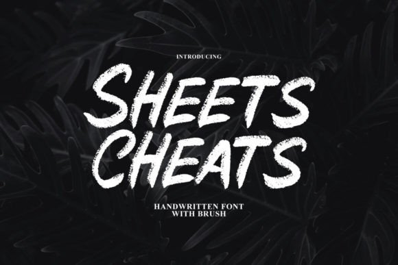 Sheets Cheats Display Font Review for Campaign Design